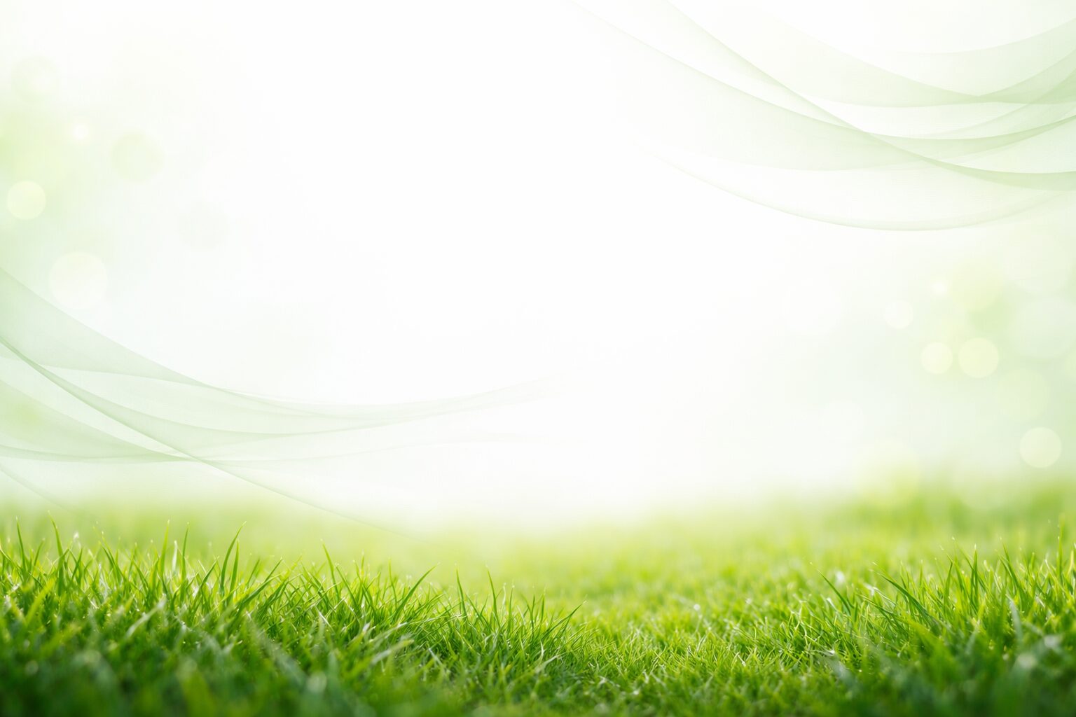 grass background